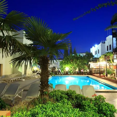 Paloma Hotel