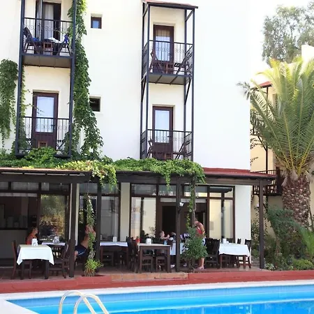 Paloma 2*
