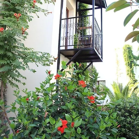 Otel Paloma 2*