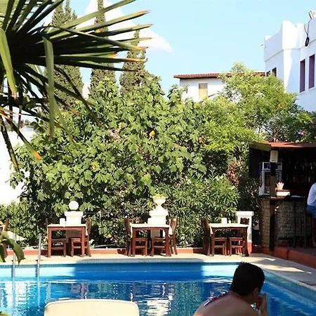 Otel Paloma 2*