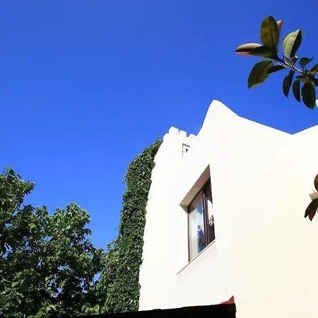 Paloma 2*