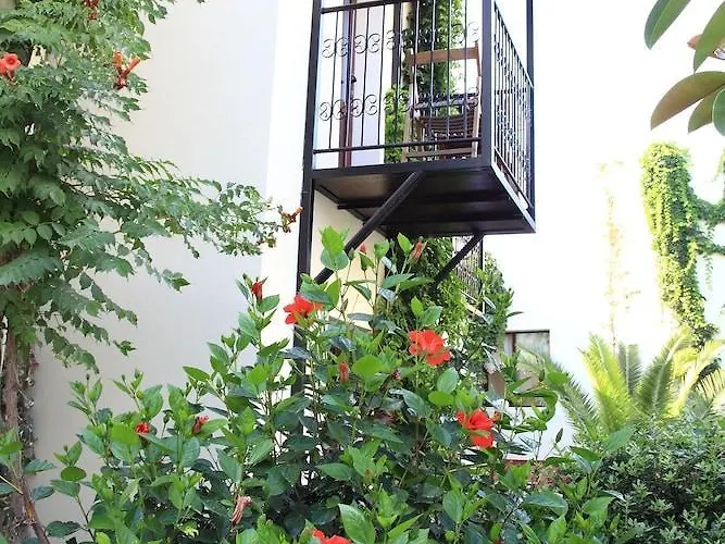 Hotel Paloma 2*