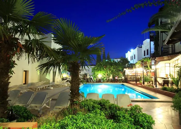 Paloma Hotel