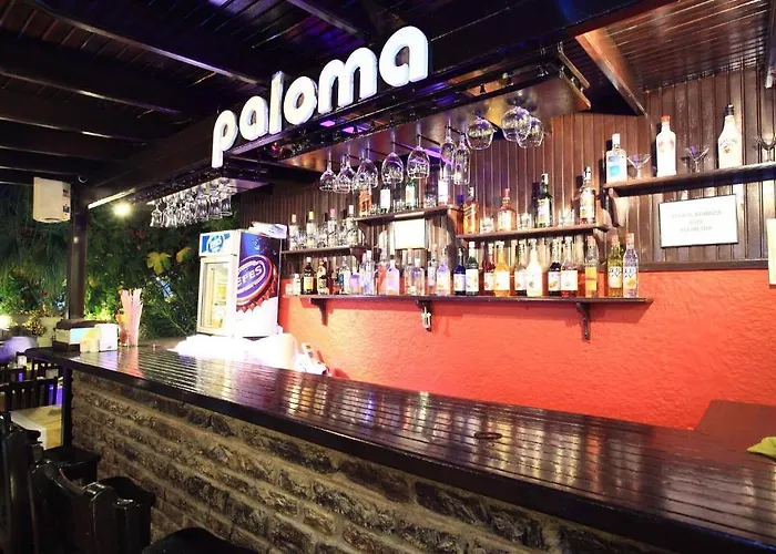 Paloma 2*