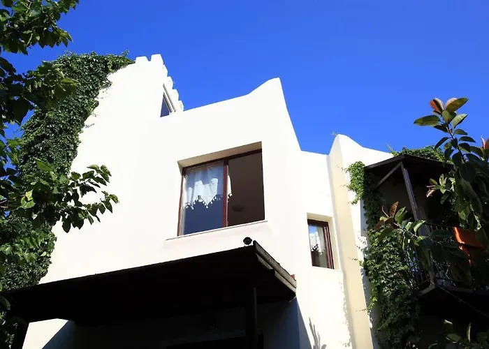 Paloma Hotel